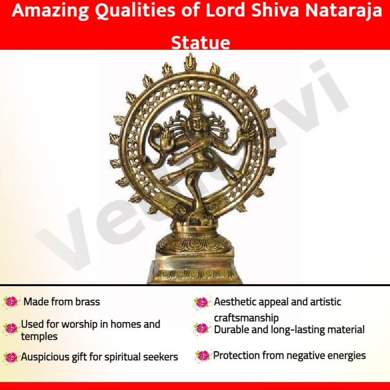 20 Pictures of Lord Nataraja, The Lord of Universal Destruction | Nataraja,  Dancing shiva, Shiva